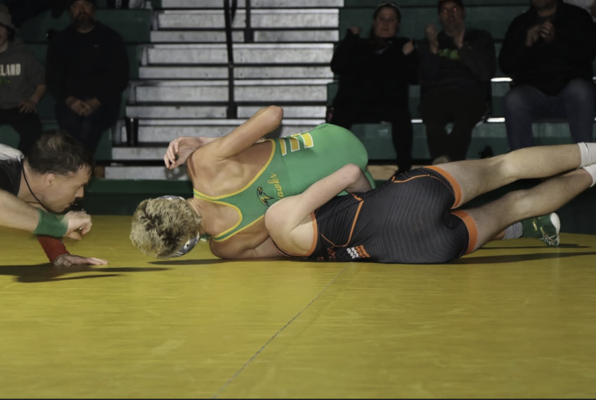 Hawks Start off Strong but Fall in Dual